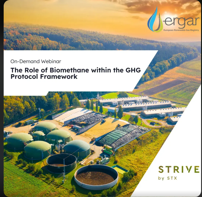 "Financing the Energy Transition" (Biomethane Fireside Chat) — DNV